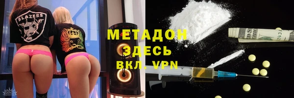 прущие грибы Кулебаки