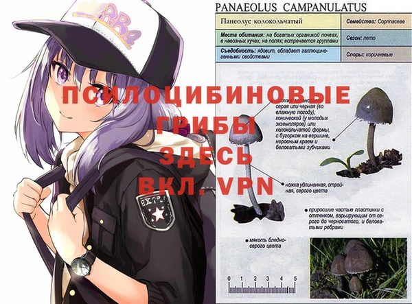а пвп мука Красноперекопск