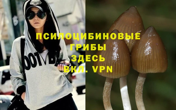 PSILOCYBIN Краснотурьинск