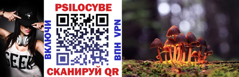хочу   Полевской  Галлюциногенные грибы прущие грибы 