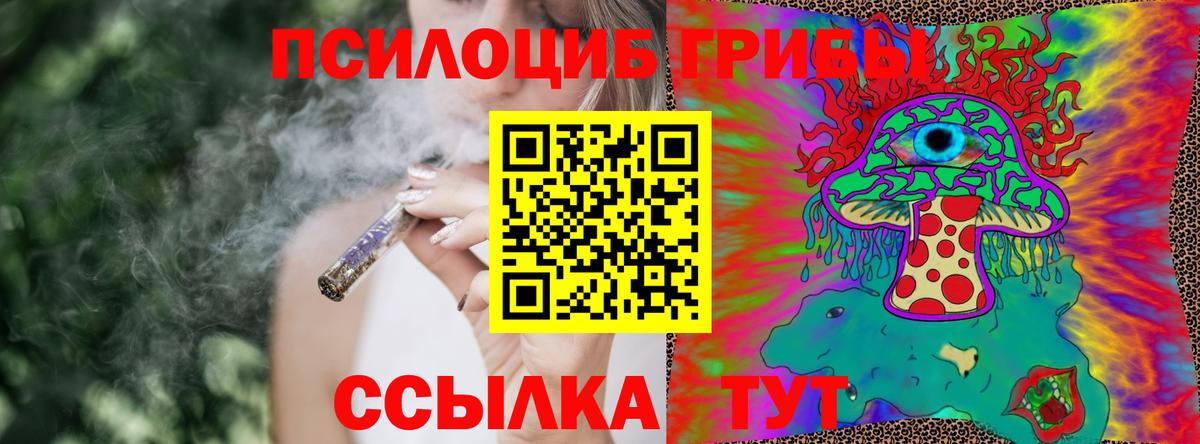Псилоцибиновые грибы прущие грибы Полевской