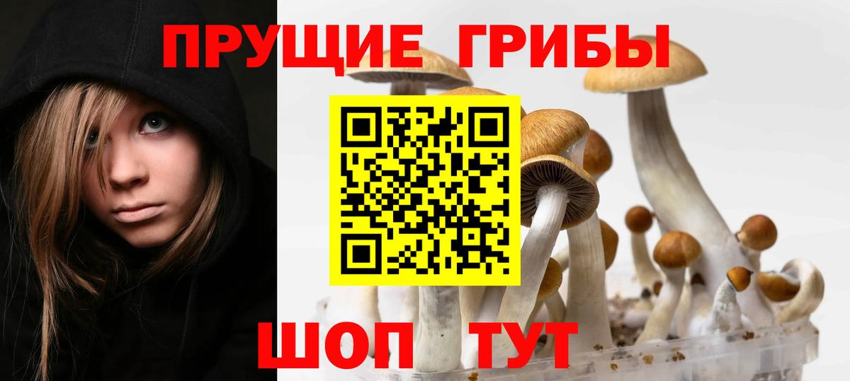 Псилоцибиновые грибы Psilocybe  Вход с VPN  Полевской 